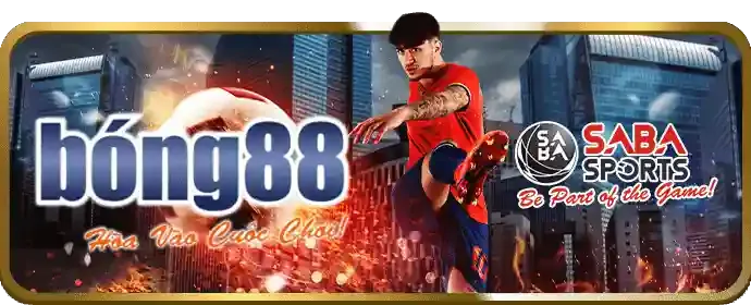 Hình ảnh các sự kiện khuyến mãi đặc biệt theo mùa giải thể thao